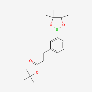 molecular formula C19H29BO4 B13461399 tert-Butyl 3-(3-(4,4,5,5-tetramethyl-1,3,2-dioxaborolan-2-yl)phenyl)propanoate 