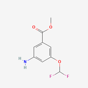 molecular formula C9H9F2NO3 B13461682 Methyl3-amino-5-(difluoromethoxy)benzoate 