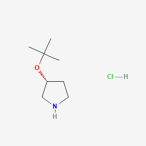 molecular formula C8H18ClNO B13461691 (3R)-3-(tert-butoxy)pyrrolidine hydrochloride 