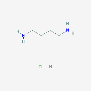 molecular formula C4H14Cl2N2 B013462 1,4-Diaminobutane dihydrochloride CAS No. 333-93-7