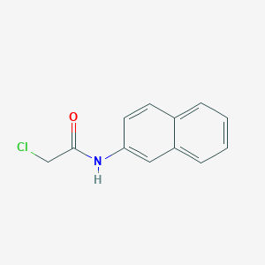 molecular formula C12H10ClNO B1346239 2-氯-N-(萘-2-基)乙酰胺 CAS No. 5453-65-6