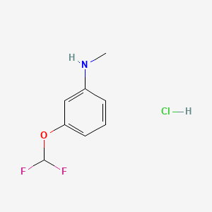 molecular formula C8H10ClF2NO B13462464 3-(difluoromethoxy)-N-methylaniline hydrochloride 