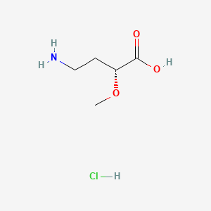 molecular formula C5H12ClNO3 B13462566 (2R)-4-amino-2-methoxybutanoic acid hydrochloride 