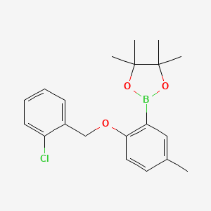 molecular formula C20H24BClO3 B13462631 2-[2-[(2-Chlorophenyl)methoxy]-5-methyl-phenyl]-4,4,5,5-tetramethyl-1,3,2-dioxaborolane 