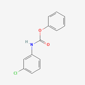 molecular formula C13H10ClNO2 B1346268 phenyl N-(3-chlorophenyl)carbamate CAS No. 50699-50-8