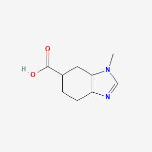 molecular formula C9H12N2O2 B13462680 3-Methyl-4,5,6,7-tetrahydrobenzimidazole-5-carboxylic acid CAS No. 732957-00-5
