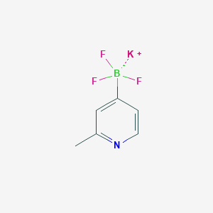 molecular formula C6H6BF3KN B13463064 Potassium trifluoro(2-methylpyridin-4-yl)borate 