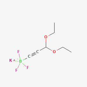 molecular formula C7H11BF3KO2 B13463088 Potassium (3,3-diethoxyprop-1-yn-1-yl)trifluoroborate 