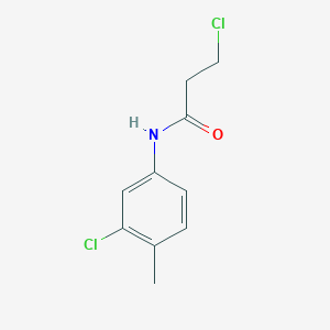 molecular formula C10H11Cl2NO B1346349 3-Chloro-n-(3-chloro-4-methylphenyl)propanamide CAS No. 51318-77-5