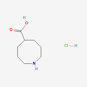 molecular formula C8H16ClNO2 B13463622 Azocane-5-carboxylicacidhydrochloride 