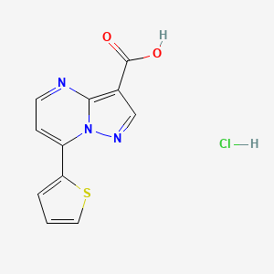 molecular formula C11H8ClN3O2S B13463635 7-(Thiophen-2-yl)pyrazolo[1,5-a]pyrimidine-3-carboxylic acid hydrochloride 