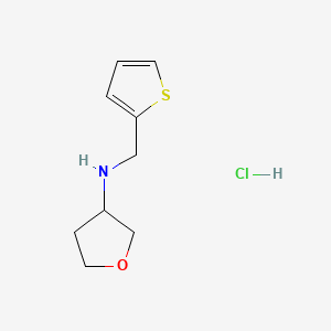 molecular formula C9H14ClNOS B13463758 N-[(thiophen-2-yl)methyl]oxolan-3-amine hydrochloride 