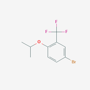 molecular formula C10H10BrF3O B1346423 5-Bromo-2-isopropoxybenzotrifluoride CAS No. 914635-61-3