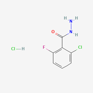 molecular formula C7H7Cl2FN2O B13465550 2-Chloro-6-fluorobenzohydrazide hydrochloride 