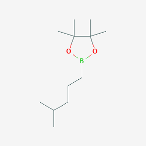 molecular formula C12H25BO2 B13466042 4,4,5,5-Tetramethyl-2-(4-methylpentyl)-1,3,2-dioxaborolane 