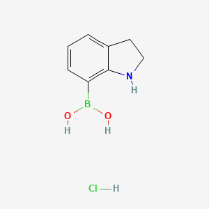 molecular formula C8H11BClNO2 B13466095 Indolin-7-ylboronic acid hydrochloride 