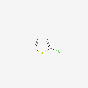 molecular formula C4H3ClS B1346680 2-Chlorothiophene CAS No. 96-43-5
