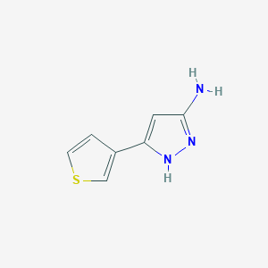 molecular formula C7H7N3S B1346775 3-(噻吩-3-基)-1H-吡唑-5-胺 CAS No. 149246-86-6