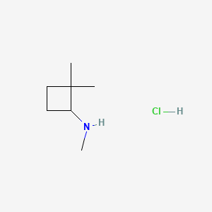 molecular formula C7H16ClN B13469178 N,2,2-trimethylcyclobutan-1-amine hydrochloride 
