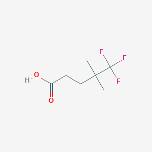molecular formula C7H11F3O2 B13469232 5,5,5-Trifluoro-4,4-dimethylpentanoic acid 