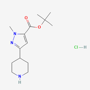 molecular formula C14H24ClN3O2 B13469374 tert-butyl 1-methyl-3-(piperidin-4-yl)-1H-pyrazole-5-carboxylate hydrochloride 