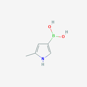 molecular formula C5H8BNO2 B13471080 (5-Methyl-1H-pyrrol-3-YL)boronic acid 
