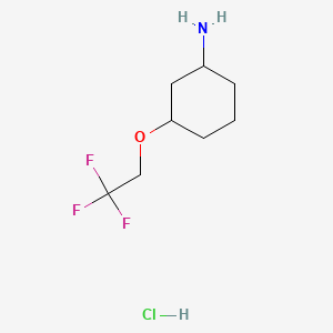 molecular formula C8H15ClF3NO B13471590 3-(2,2,2-Trifluoroethoxy)cyclohexan-1-amine hydrochloride 