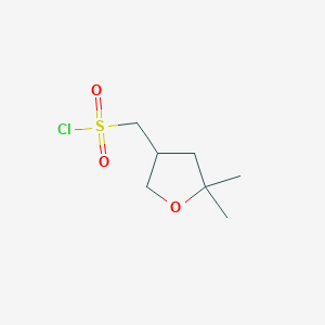 molecular formula C7H13ClO3S B13472312 (5,5-Dimethyloxolan-3-yl)methanesulfonyl chloride CAS No. 1936563-62-0