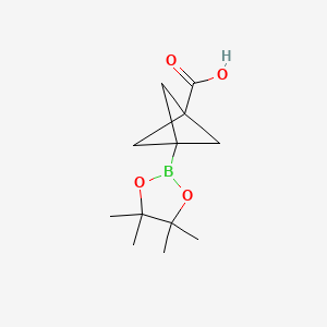 molecular formula C12H19BO4 B13472337 3-(4,4,5,5-Tetramethyl-1,3,2-dioxaborolan-2-yl)bicyclo[1.1.1]pentane-1-carboxylic acid 