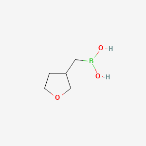 molecular formula C5H11BO3 B13472690 [(Oxolan-3-yl)methyl]boronic acid 