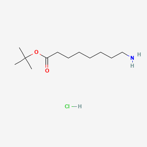 molecular formula C12H26ClNO2 B13472729 Tert-butyl 8-aminooctanoate hydrochloride 