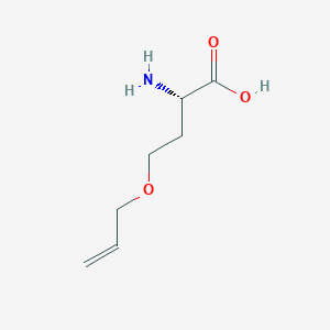 molecular formula C7H13NO3 B13475378 O-Allyl-L-homoserine 