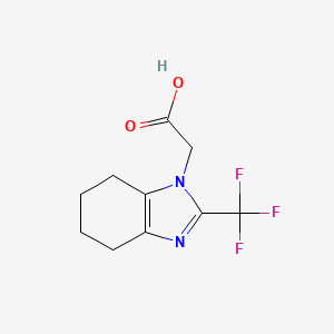 molecular formula C10H11F3N2O2 B13481042 2-[2-(trifluoromethyl)-4,5,6,7-tetrahydro-1H-1,3-benzodiazol-1-yl]acetic acid 