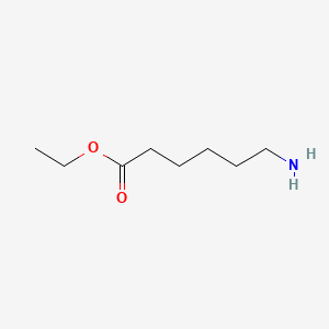 molecular formula C8H17NO2 B1348328 Ethyl 6-aminohexanoate CAS No. 371-34-6