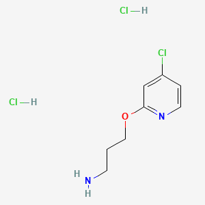 molecular formula C8H13Cl3N2O B13484007 3-[(4-Chloropyridin-2-yl)oxy]propan-1-amine dihydrochloride 