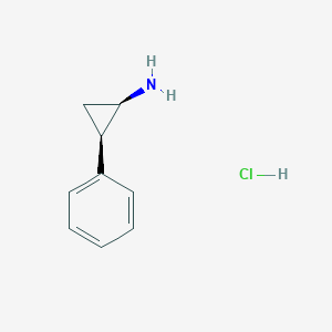 molecular formula C9H12ClN B134843 cis-Tranylcypromine Hydrochloride CAS No. 54779-58-7