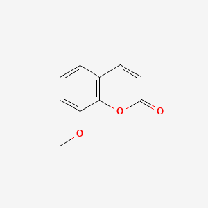 molecular formula C10H8O3 B1348513 8-Methoxycoumarin CAS No. 2445-81-0