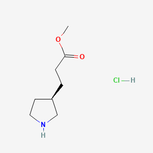 molecular formula C8H16ClNO2 B13485374 methyl 3-[(3R)-pyrrolidin-3-yl]propanoate hydrochloride 