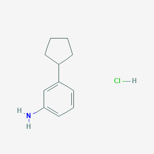 molecular formula C11H16ClN B13486801 3-Cyclopentylaniline hydrochloride 