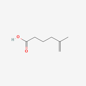 molecular formula C7H12O2 B1348769 5-methylhex-5-enoic acid CAS No. 55170-74-6