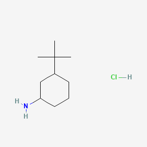 molecular formula C10H22ClN B13491018 3-tert-butylcyclohexan-1-amine hydrochloride, Mixture of diastereomers 