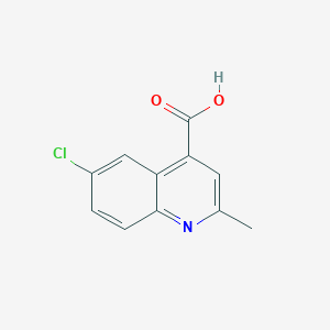 molecular formula C11H8ClNO2 B1349196 6-Chloro-2-methylquinoline-4-carboxylic acid CAS No. 436087-49-9