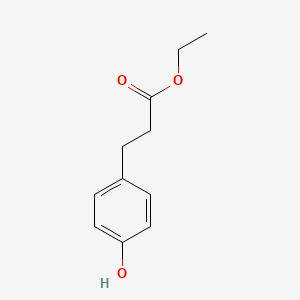 molecular formula C11H14O3 B1349359 3-(4-羟基苯基)丙酸乙酯 CAS No. 23795-02-0