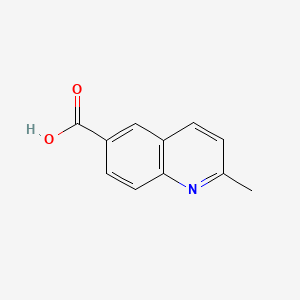 molecular formula C11H9NO2 B1349406 2-Methylquinoline-6-carboxylic acid CAS No. 635-80-3