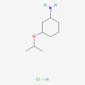 molecular formula C9H20ClNO B13494520 3-(1-Methylethoxy)cyclohexanamine Hydrochloride 