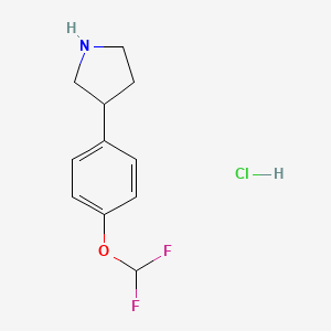 molecular formula C11H14ClF2NO B13495816 3-[4-(Difluoromethoxy)phenyl]pyrrolidine hydrochloride 