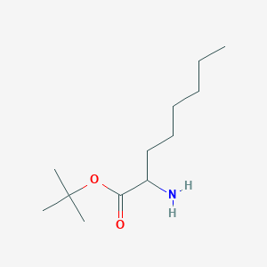 molecular formula C12H25NO2 B13496632 Tert-butyl 2-aminooctanoate 