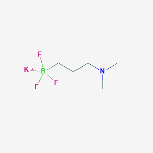 molecular formula C5H12BF3KN B13497646 Potassium (3-(dimethylamino)propyl)trifluoroborate 