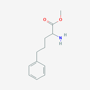 molecular formula C12H17NO2 B13497989 Methyl 2-amino-5-phenylpentanoate 