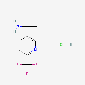 molecular formula C10H12ClF3N2 B13498110 1-[6-(Trifluoromethyl)pyridin-3-yl]cyclobutan-1-amine hydrochloride 
